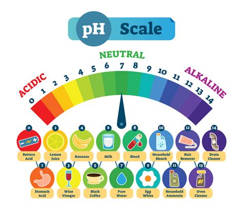 Decrease the body's ability to absorb minerals and other nutrients, decrease the energy production in the cells, decrease it's ability to repair damaged cells note that a food's acid or alkaline forming tendency in the body has nothing to do with the actual ph of the food itself. Explainer: What the pH scale tells us | Science News for ...