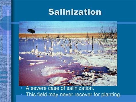 Ppt Topic 383 Describe Three Stages Of Soil Formation Powerpoint