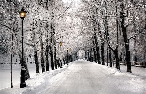 ***a snowy day (st petersburg, russia) автор фото: Fotos von Sankt Petersburg Natur Allee Winter Park Schnee ...