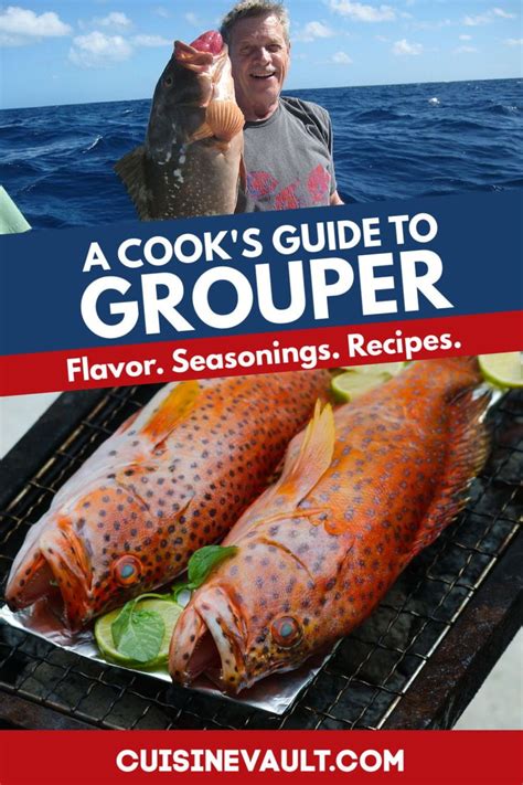 A Cooks Guide To Grouper Grouper Fish Recipes Grouper Recipes Grouper