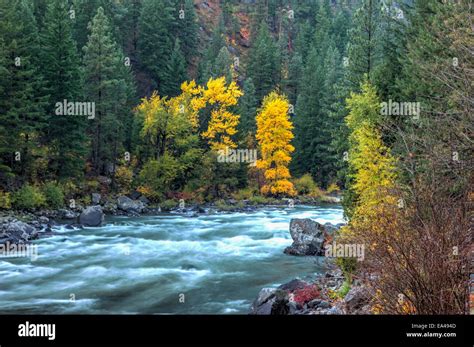 Autumn At The Wenatchee River Stock Photo Alamy