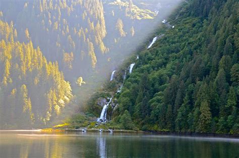 The Great Bear Rainforest On The Mainland Coast Of British Columbia