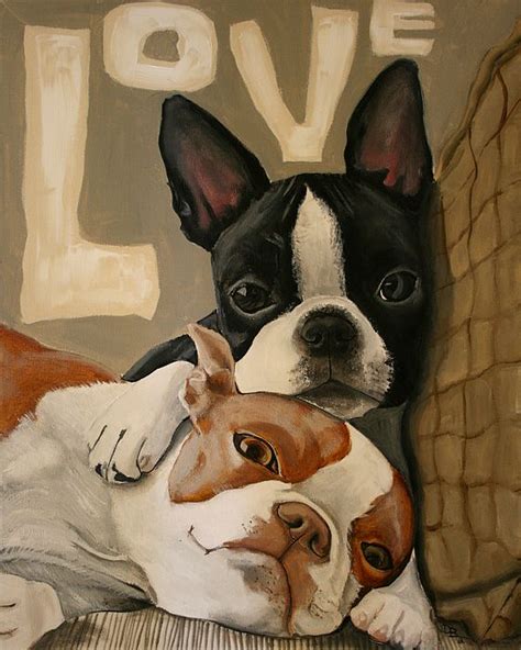 20 Funny Boston Terriers That Will Not Leave You Indifferent Page 3