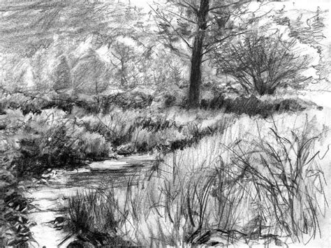 Here presented 57+ realistic nature drawing images for free to download, print or share. Pencil Sketches of Nature Scenery | Pencil Sketch Scenery ...