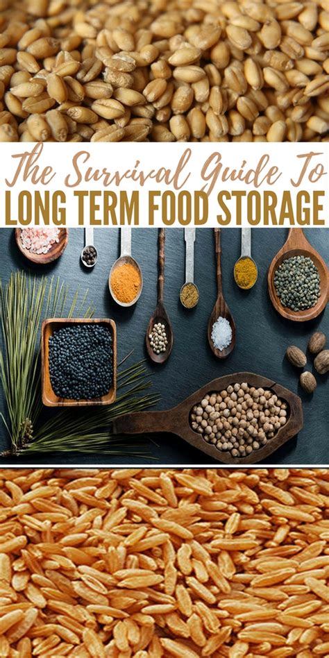 To be truthful, my initial goal with this article was to respond to readers who were just getting started and wanted a long term food storage list. The Survival Guide To Long Term Food Storage