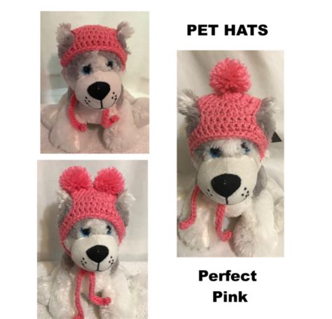 Dog Hat Cat Hat Pompom Dog Hat Knit Crochet Dog Hat Small Medium