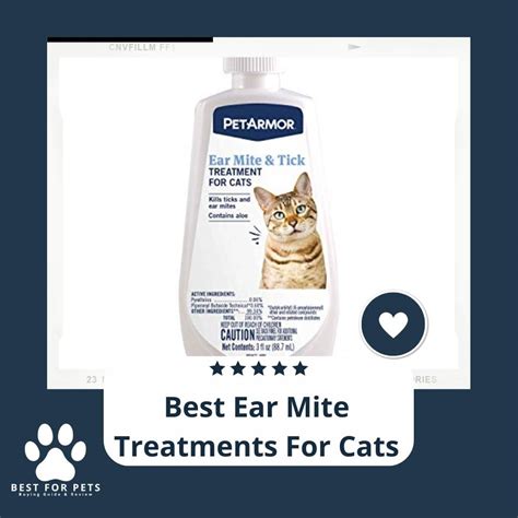 9 Best Ear Mite Treatments For Cats In 2023