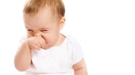 Seorang ibu membagikan pengalaman menggunakan daun sirih untuk mengatasi hidung hidung tersumbat pada bayi dan anak tak hanya membuatnya merasa tidak nyaman, tapi juga menyulitkan. Hidung tersumbat - Petua Daun Sirih Untuk Hidung Tersumbat ...