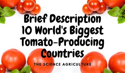 Top 10 Worlds Biggest Tomato Producing Countries The Science Agriculture