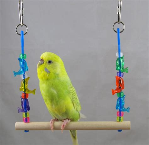 Homemade Parakeet Toys Parakeet Wiki Fandom Powered By Wikia