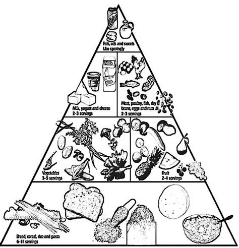 In addition to engaging activities, students will synthesize new learning through a v Food Pyramid Coloring Pages - Coloring Home