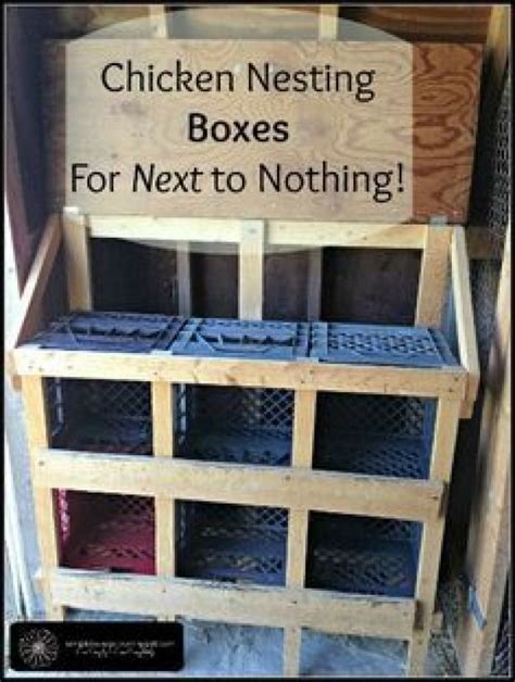 How To Build Nesting Boxes For Your Chickens Using Materials You Have