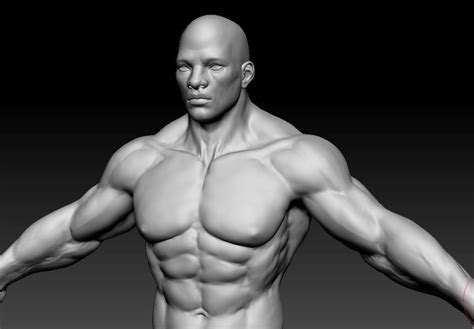 3d Model Male Body 06 Cgtrader