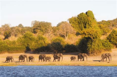 The Best Botswana Safaris 3 Incredible Itineraries Helen In Wonderlust