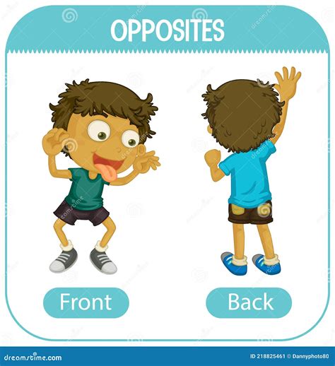 Opposite Words With Front And Back Stock Vector Illustration Of Learn