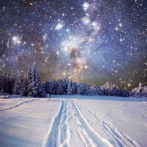 Laeacco Photography Backdrops Winter Snow Pine Forest Glitter Star