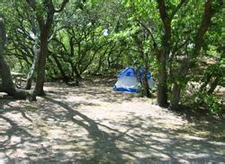 Maybe you would like to learn more about one of these? Camping and Cabin Rentals - First Landing State Park, VA