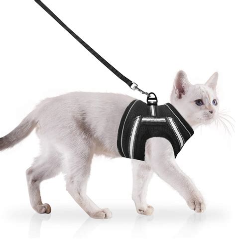 Joyo Cat Harness And Leash Set Escape Proof Adjustable Small Pet
