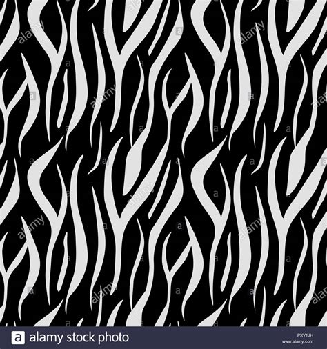 Animal Print Zebra Texture Background Black And White Colors Stock