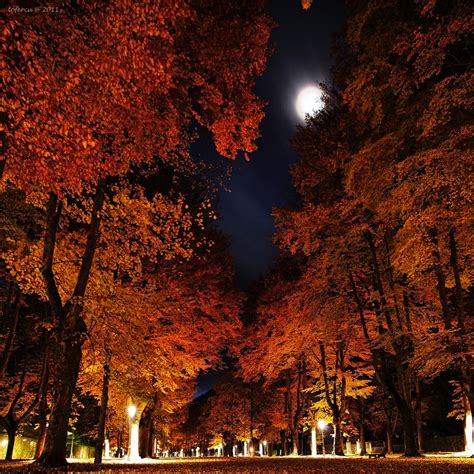 500px Photo The Moon By Toni Fernandez Autumn Scenery Autumn