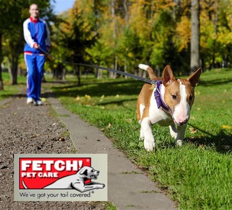 Fetch Pet Care Request A Quote 7312 Louetta Road B118 Spring