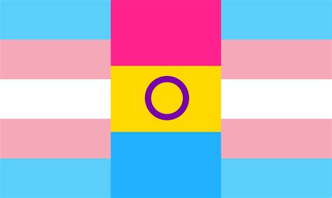 Made A Custom Pride Flag For Myself Trans Pansexual Interbo Lgbt