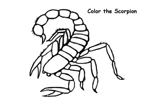 Scorpion Printable Coloring Pages
