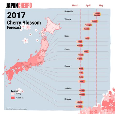 Japan Cherry Blossom Forecast By Major City Japan Cheapo