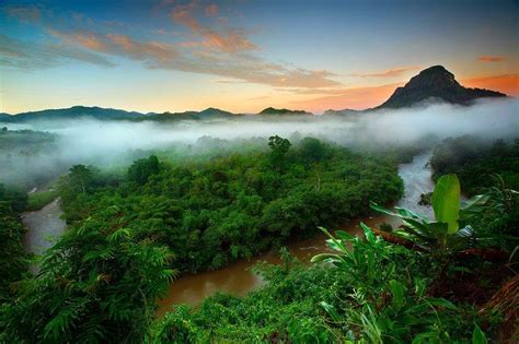 Amazon Peru Rainforest Scenic Photography Beautiful Landscapes