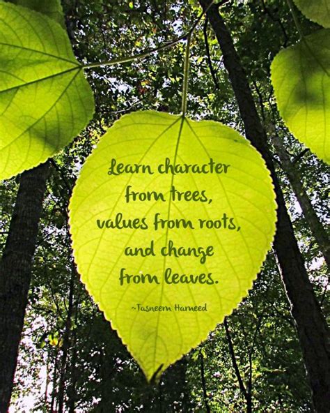 Quotes About Green Leaf