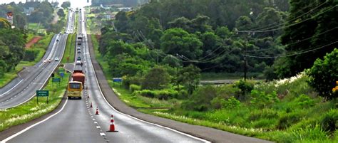 Maybe you would like to learn more about one of these? Free Images : forest, path, road, asphalt, transport ...