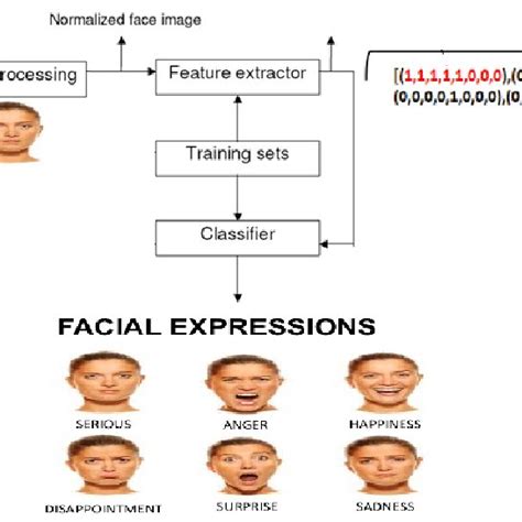 the different stages of facial expression recognition fer system hot sex picture