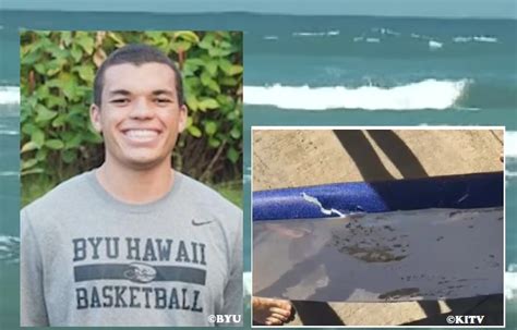 Shark Bites 23 Year Old Surfer In Hawaii
