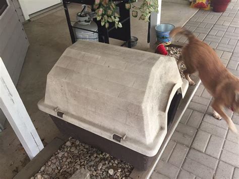 Find More Barn Style Dog House For Sale At Up To 90 Off
