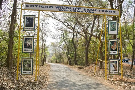 Cotigao Wildlife Sanctuary Gogoanow Goa Events