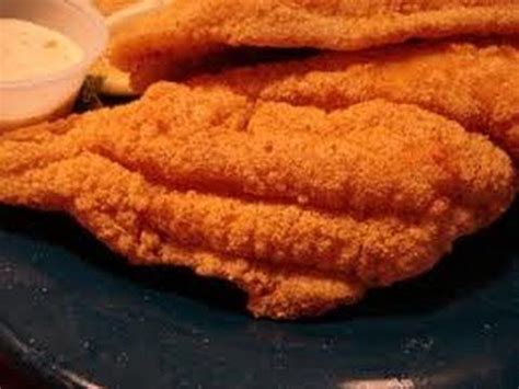 Para cocineros con poco tiempo, aprendices entusiastas y buenos. HOW TO FRY CATFISH- SOUTHERN STYLE--CUZ I'M KUNTRY ...