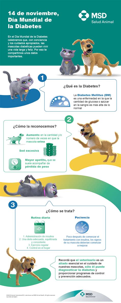 Caninsulin® Msd Salud Animal Chile