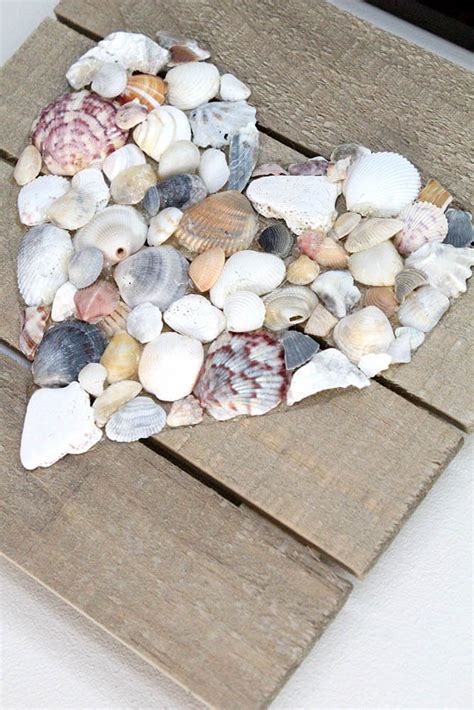 35 Best Diy Shell Projects Ideas And Designs For 2021
