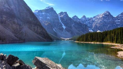 2.just below the image, you'll notice a button that says. 4K Desktop Wallpaper (73+ images)