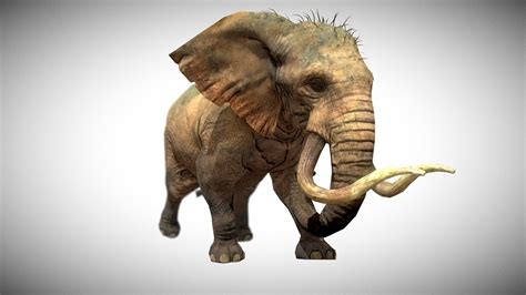 Elephant 3d Model By Electronick Dda567d Sketchfab