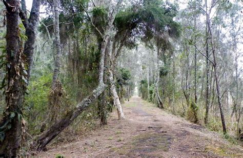 Walk On Water Walking Track Learn More Nsw National Parks