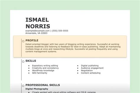 Personal Profile Template Professional Profile Resume