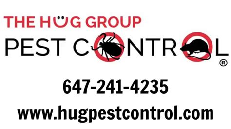 Grand theft auto iv walkthrough guide: HUG Pest Control - YouTube