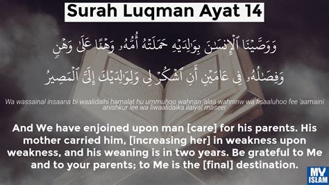 Surah Luqman Ayat 14 3114 Quran With Tafsir My Islam