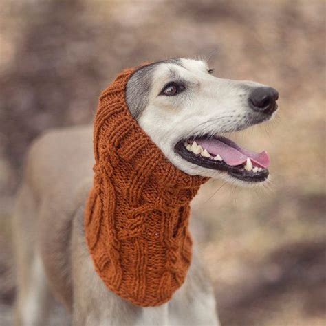 Wool Dog Snood Custom Made To Order Warm Snood For Dog Etsy