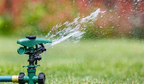 Tips To Make Your Irrigation System More Water Efficient