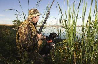 San diego quick cash for cars. The Life of a Game Warden | Chron.com