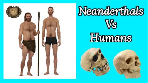 1v1 Neanderthals Vs Human Comparison Saiful Chemistry Youtube