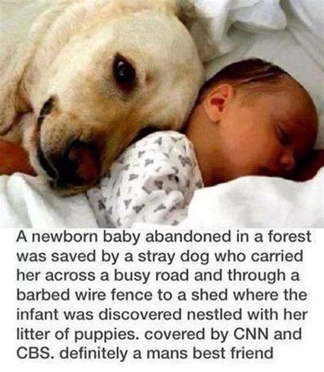 Can Newborns Be Around Dogs