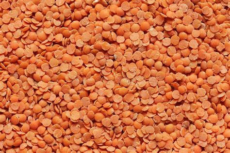 Red Lentils Texture Stock Image Image Of Cereal Abundance